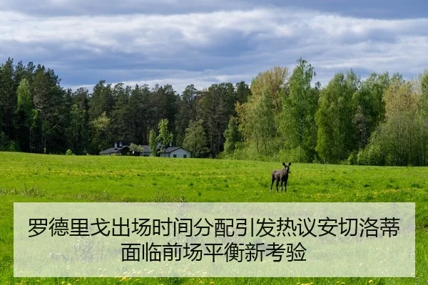 luo-de-li-ge-chu-chang-shi-jian-fen-pei-yin-fa-re-yi-an-qie-luo-di-mian-lin-qian-chang-ping-heng-xin-kao-yan-2-187.jpg