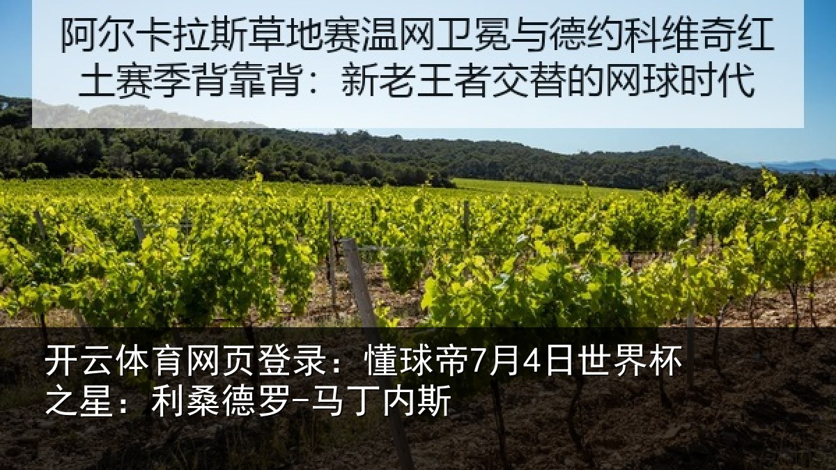 开云体育网页登录：懂球相关情况：利桑德罗-马丁内斯